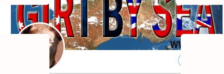 UNCONTESTED3TermsWetDogDownUnder banner