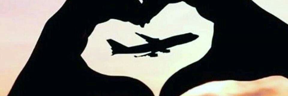 Lauriii➰ banner