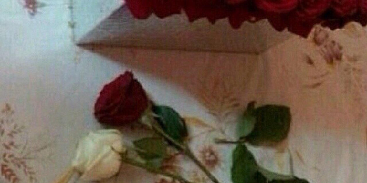 902Tala's profile banner image