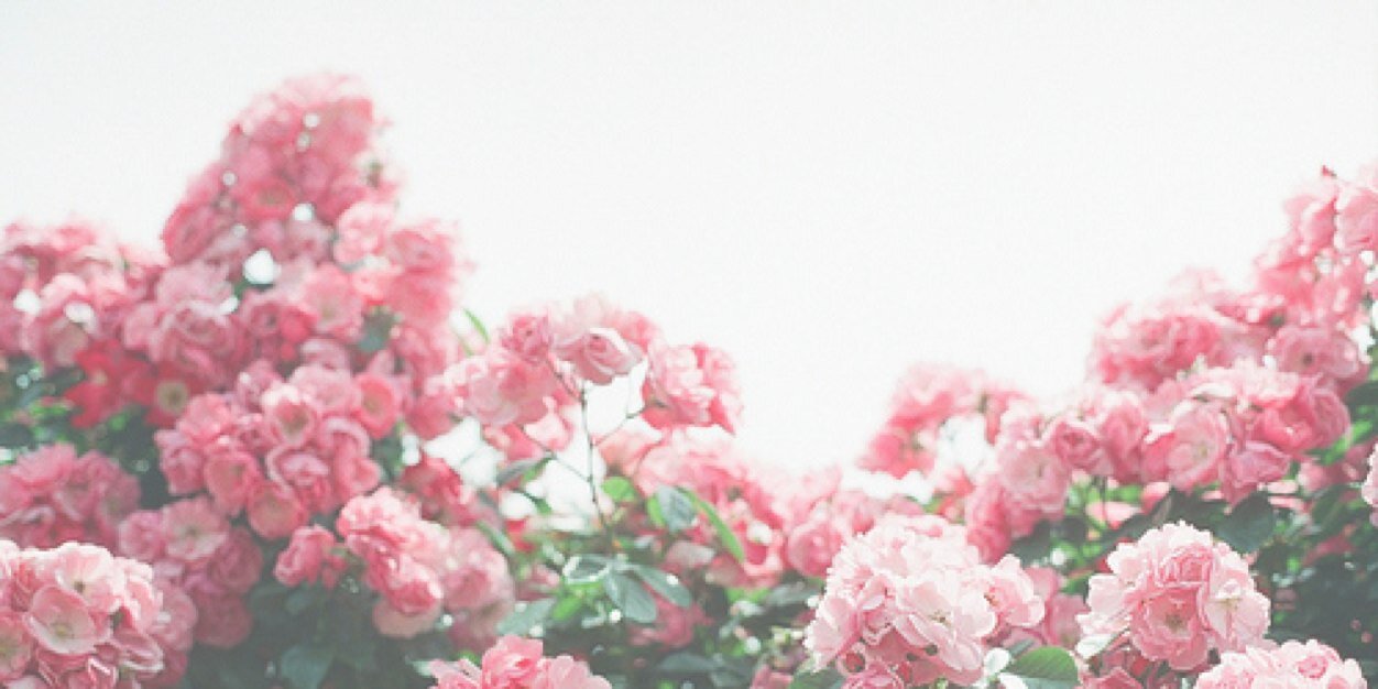 jnyemily's profile banner image