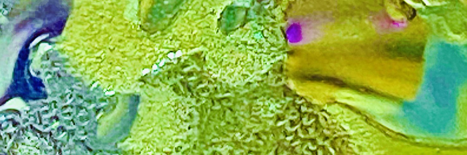 dmang's profile banner image