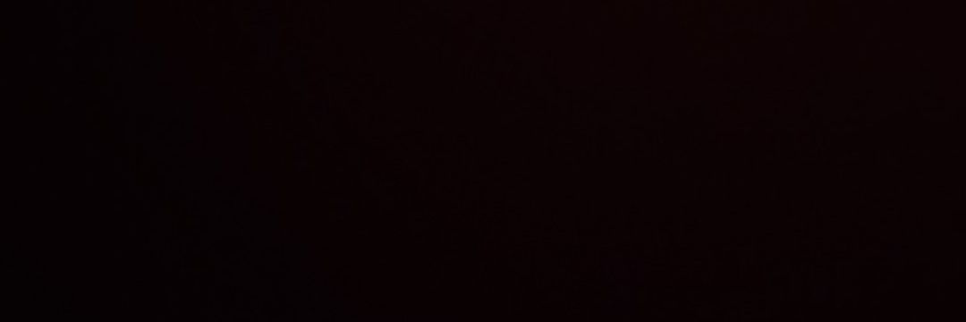 Bernardus Lacy banner