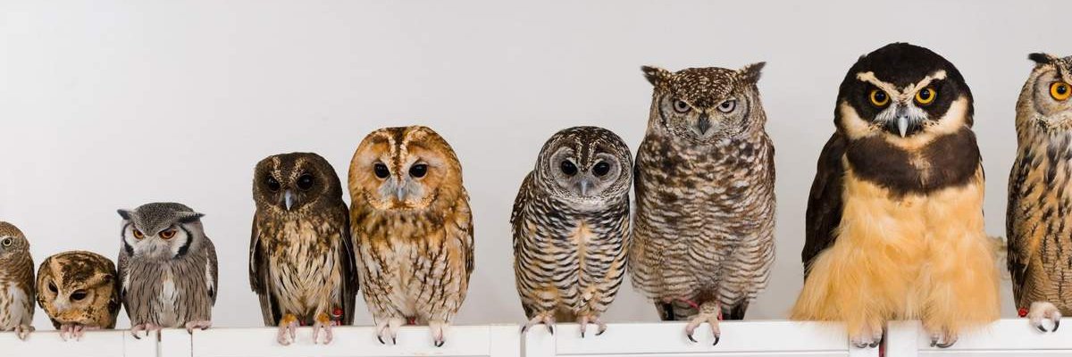 novicenaman's profile banner image