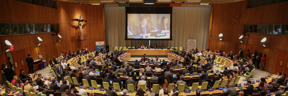 Earth Negotiations Bulletin's banner