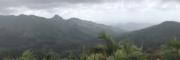 SarahSwiston Profile Banner