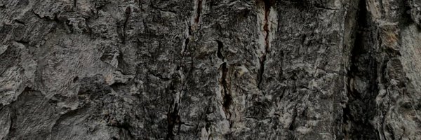 xenoscopic Profile Banner