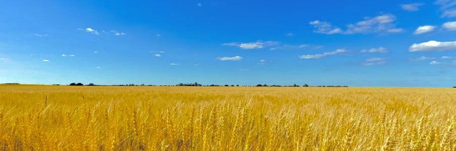 Thom Pfeiffer, Ph.D. 🇺🇦🇮🇱 banner