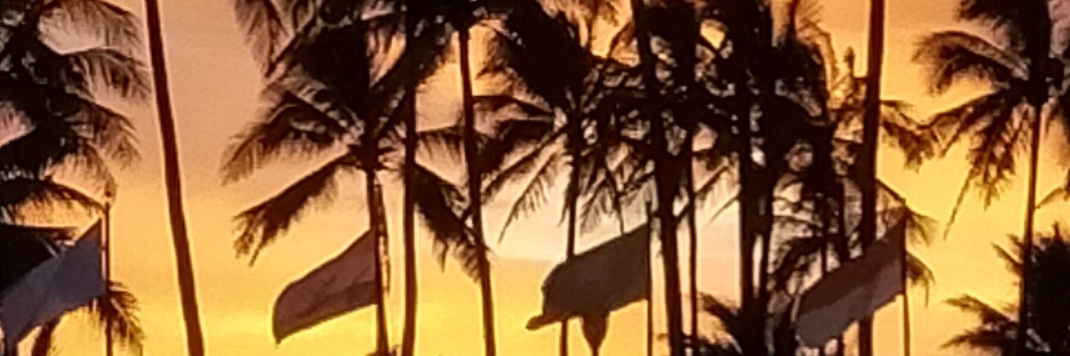 ldsgeromero's profile banner image