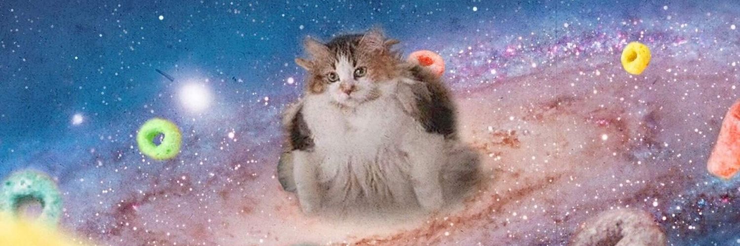 amyruzi's profile banner image