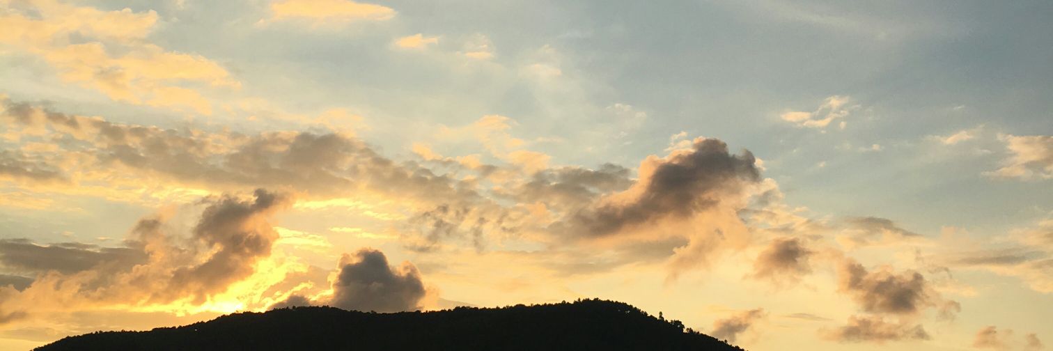 qityna's profile banner image