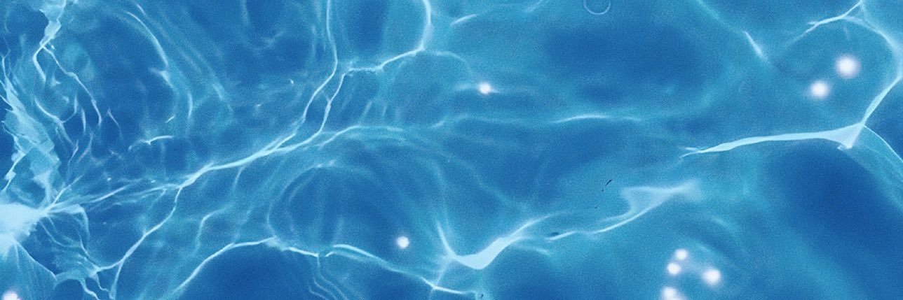 🐬 banner