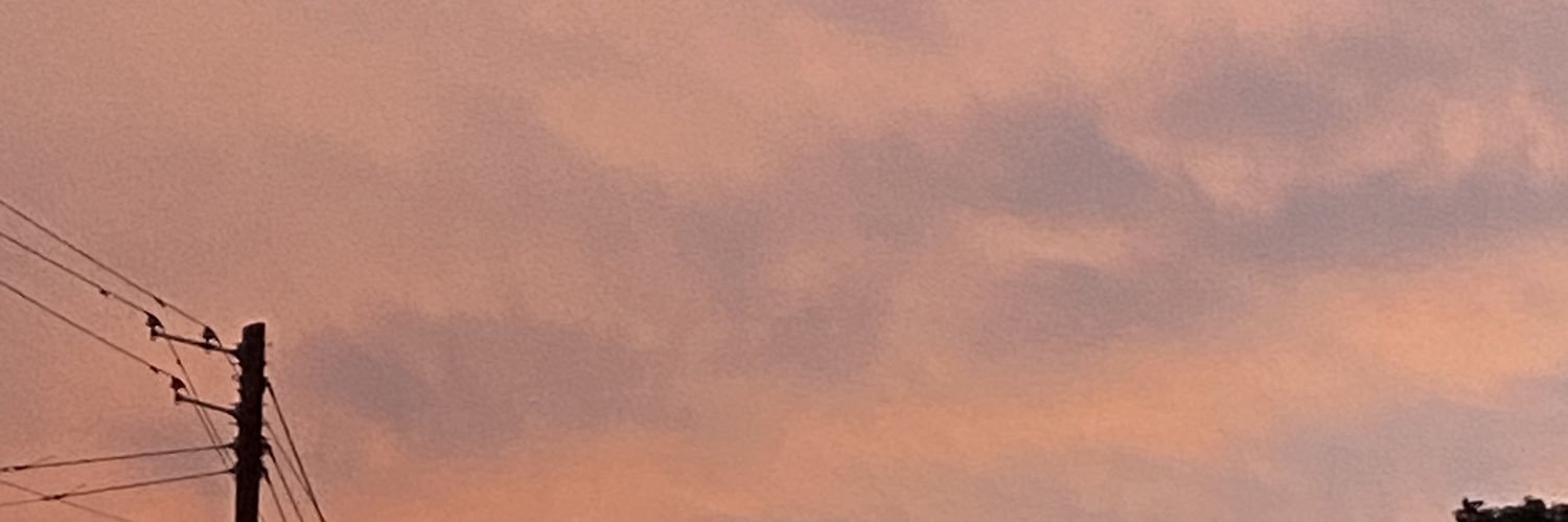 savagee_zo's profile banner image