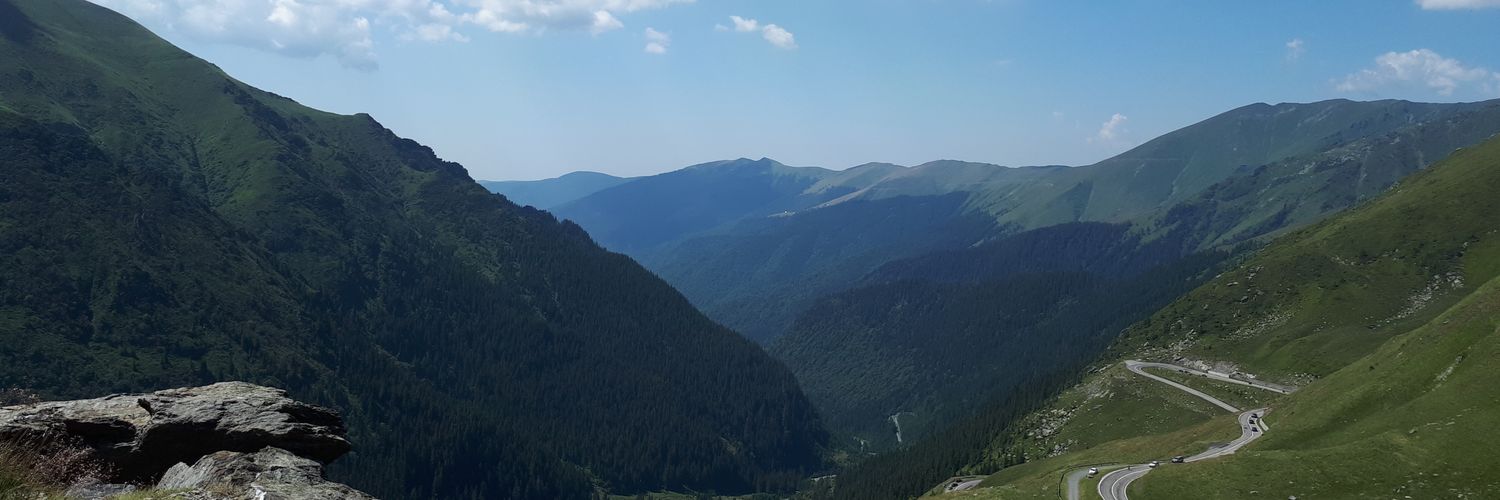 Margotti banner