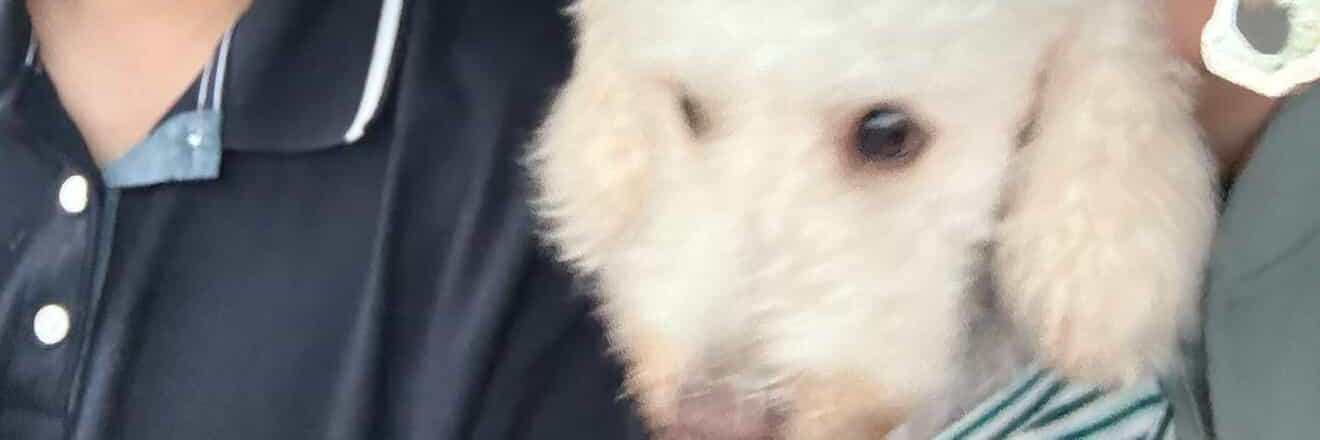 Kath banner