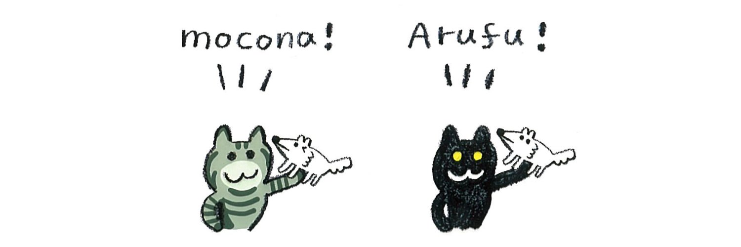 mocoa's banner