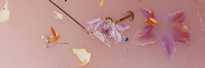 Porra, sai fora banner