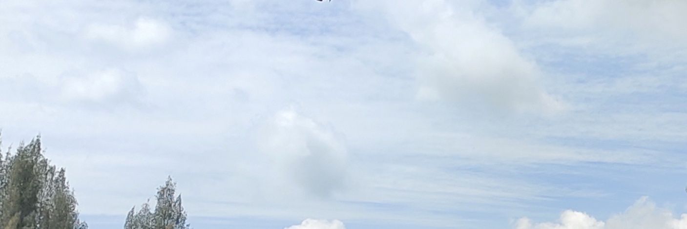 slylili's profile banner image