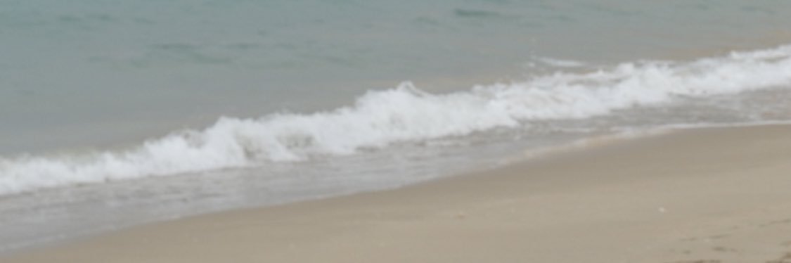 عبدالله منجد البدر banner