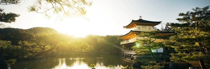静観ホルダー|日本株 banner