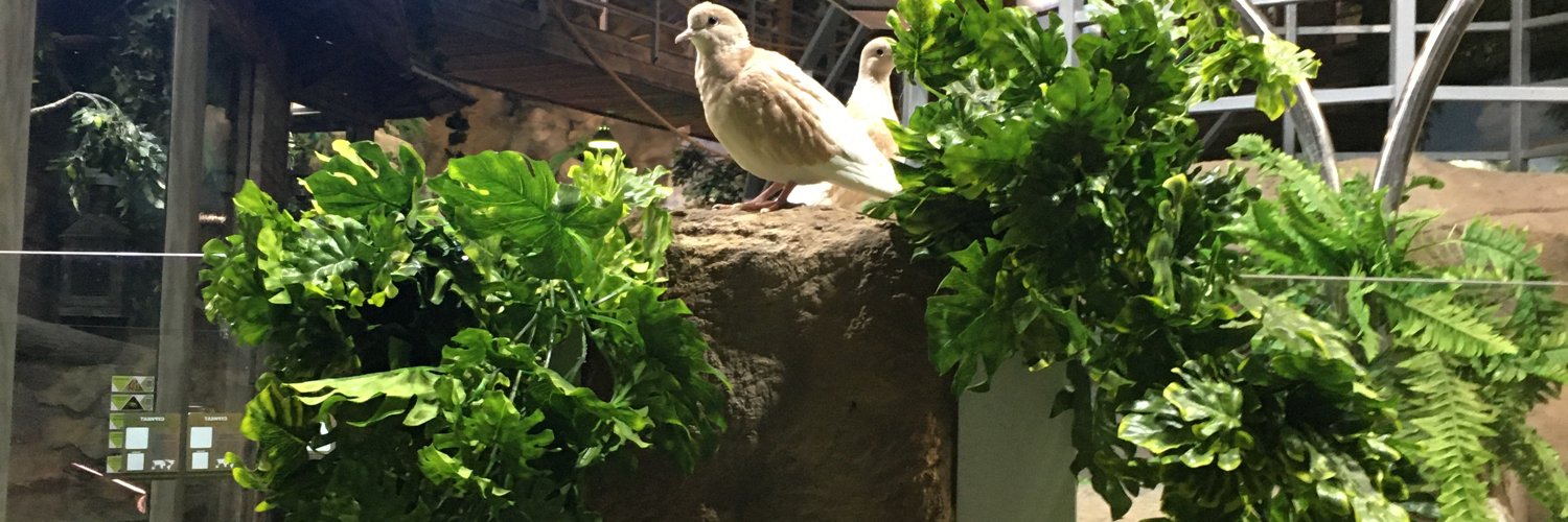 Орлов Макс banner