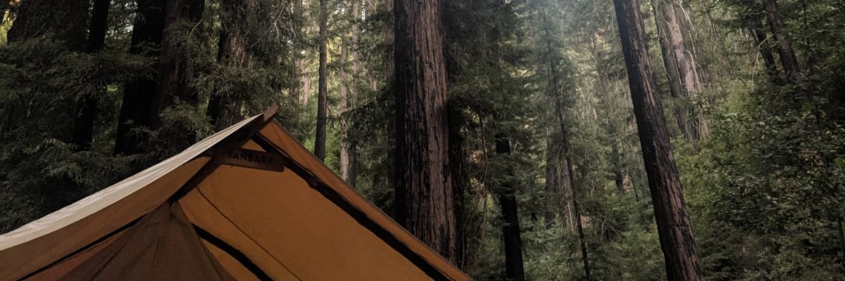 TMollinger's profile banner image