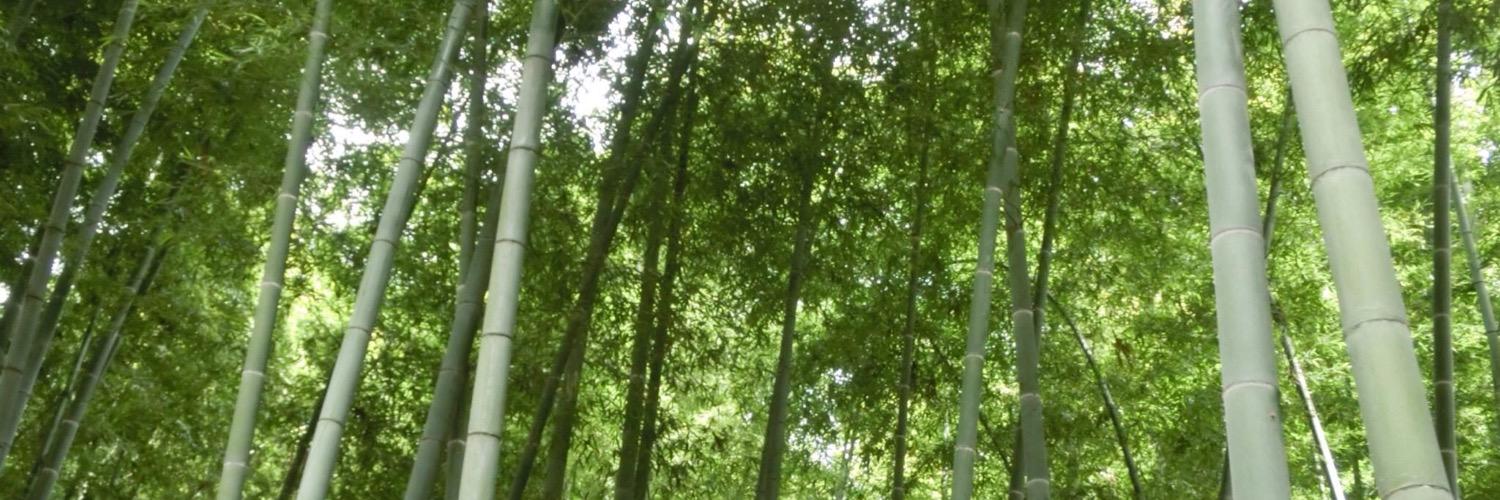 _bamboo_0720's profile banner image