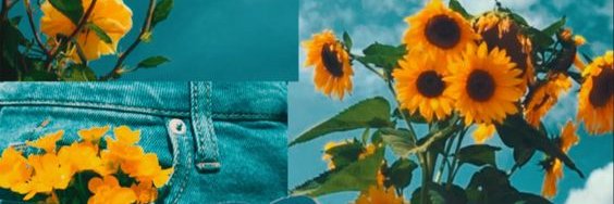 PauletteAnette's profile banner image