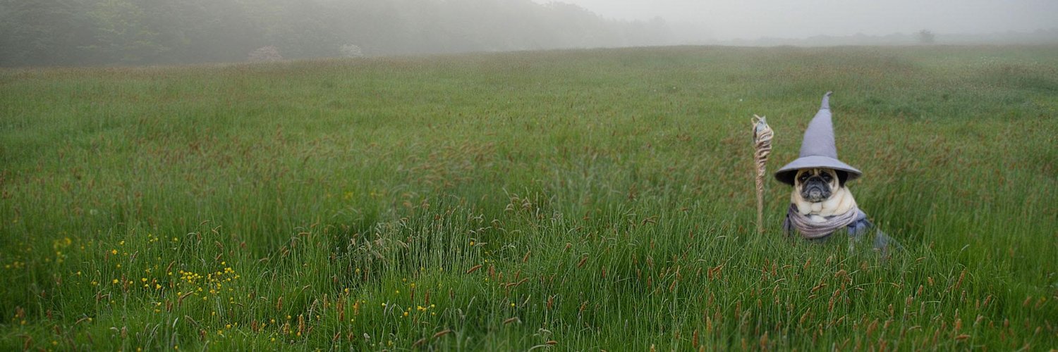 Átila Toniolo Breowicz banner