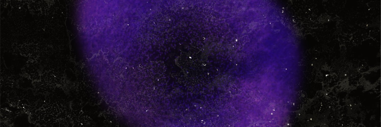 New Constellations banner