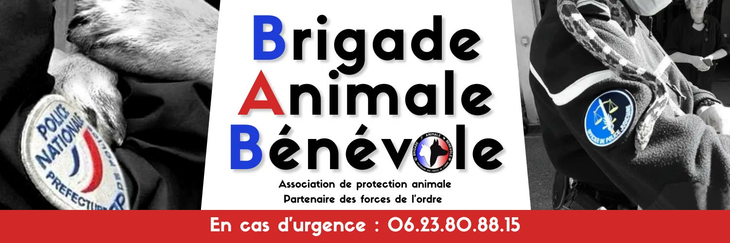 Brigade Animale Bénévole | BAB's banner