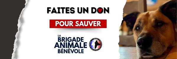 bab_asso Profile Banner