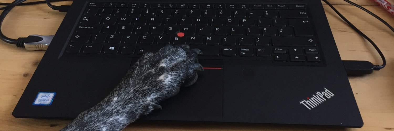 Indiana Bones banner