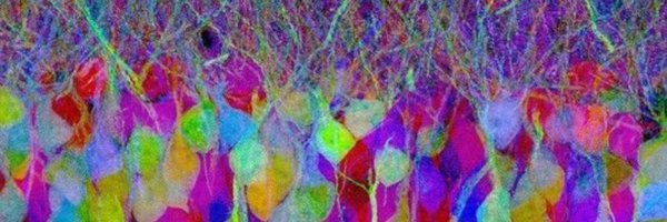 CintadoElisa Profile Banner