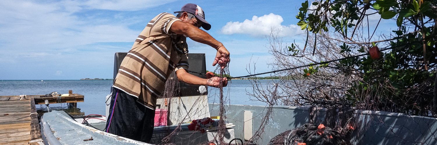 Coraly M. Cruz Mejías banner