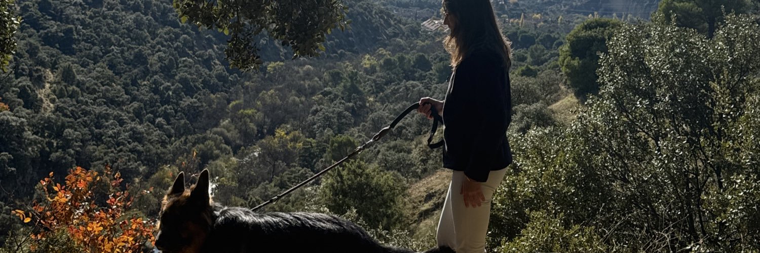 PIK enjoyer banner