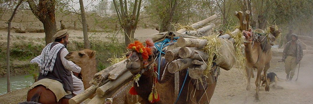 Stefaans Brümmer banner