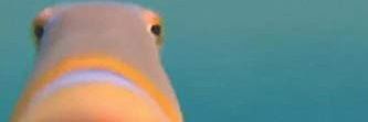 Daaniif17's profile banner image