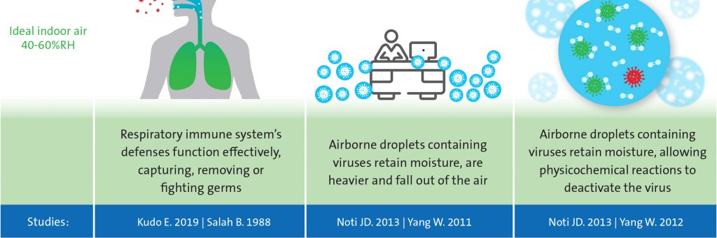 Magnesium Girl - yin solutions for a yang world banner
