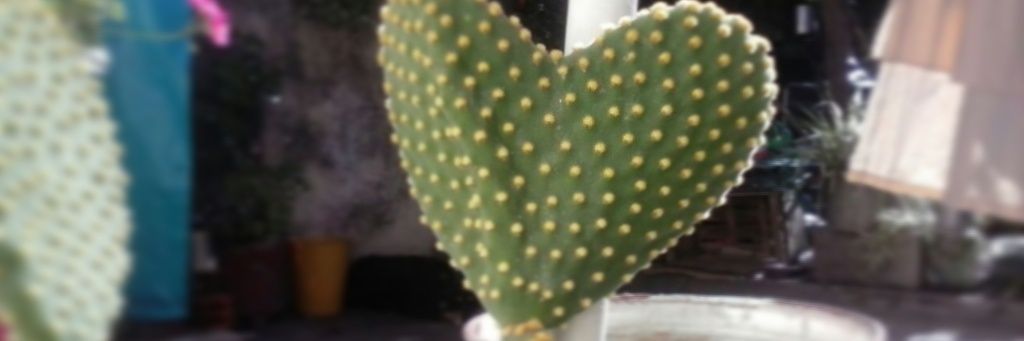 LuChurrupit's profile banner image