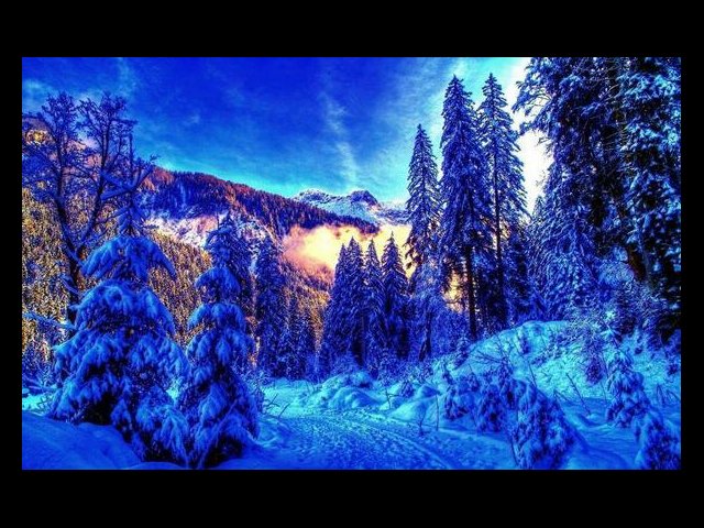 dhe_wrn's profile banner image