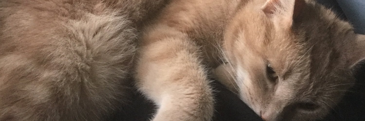 NevinCodesGames's profile banner image