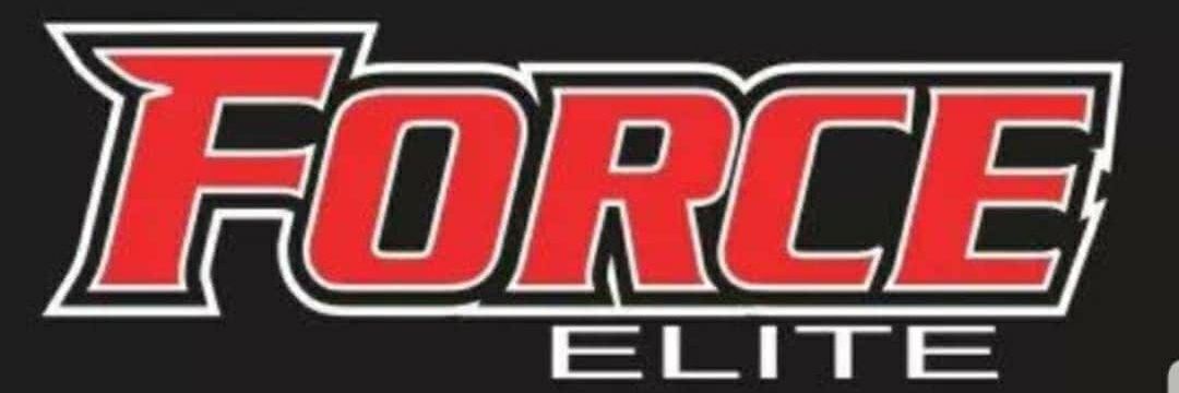 ForceEliteFastpitch banner