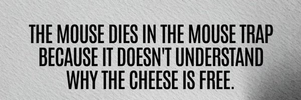 ObumnemePaschal Profile Banner