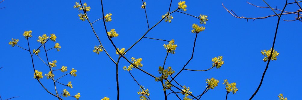 catharinegray's profile banner image