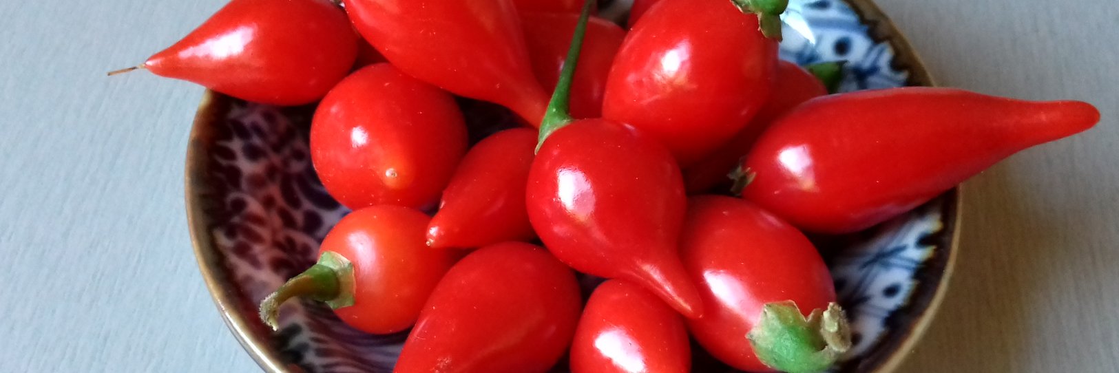 degreefood's profile banner image