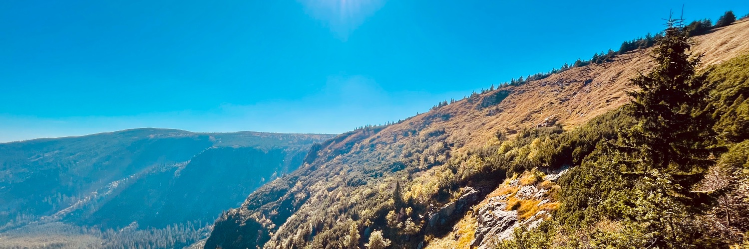 Karel Holub 🌱 banner