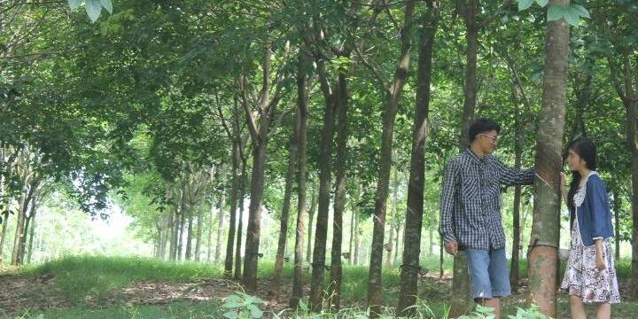 putrikaaaa's profile banner image