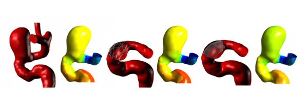 STateshimaMD Profile Banner