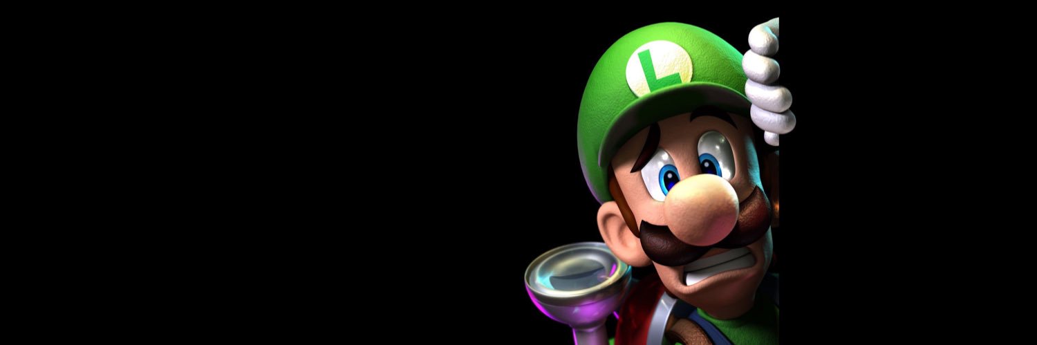 0xLuigi banner