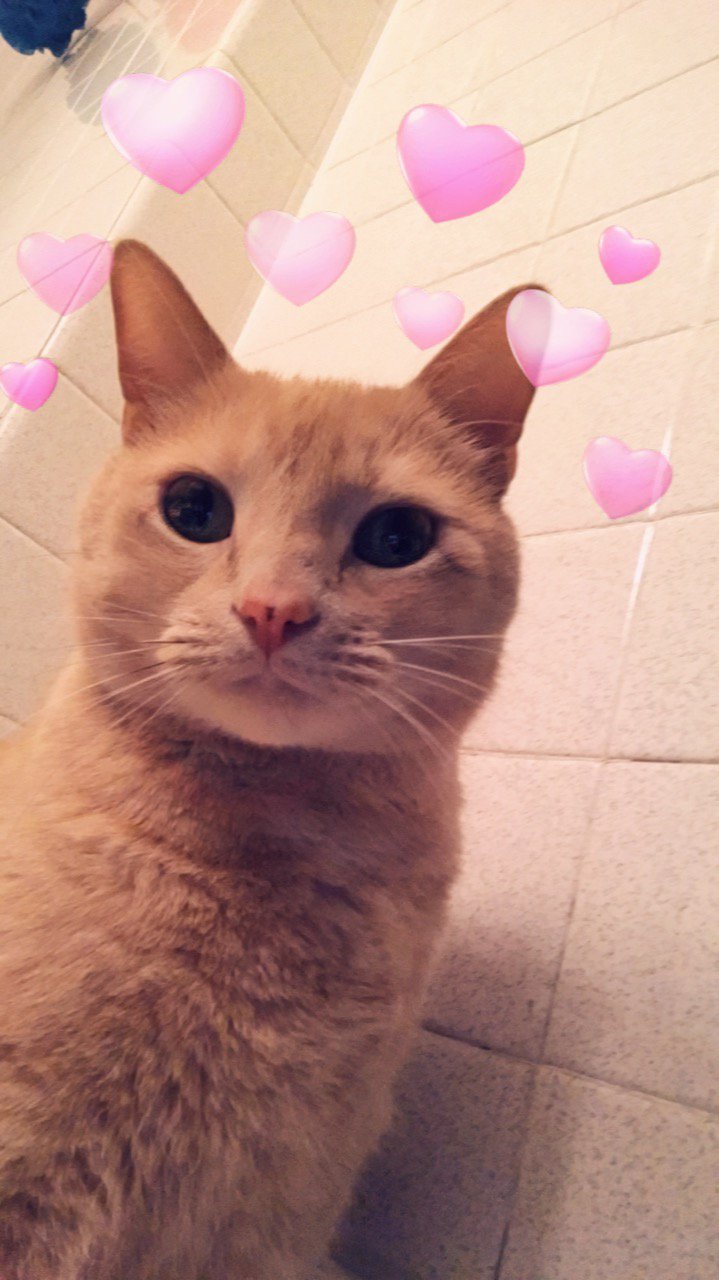 danabreighner's profile banner image